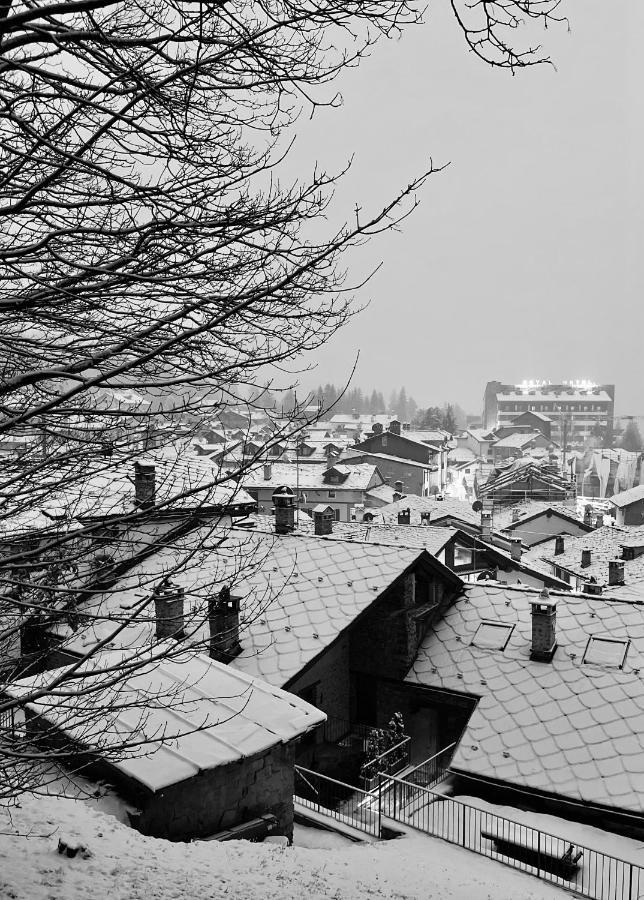 Chalet Blanc "La Mansarda" Courmayeur Bagian luar foto