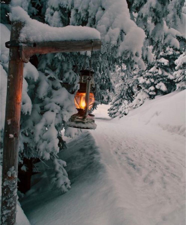 Chalet Blanc "La Mansarda" Courmayeur Bagian luar foto
